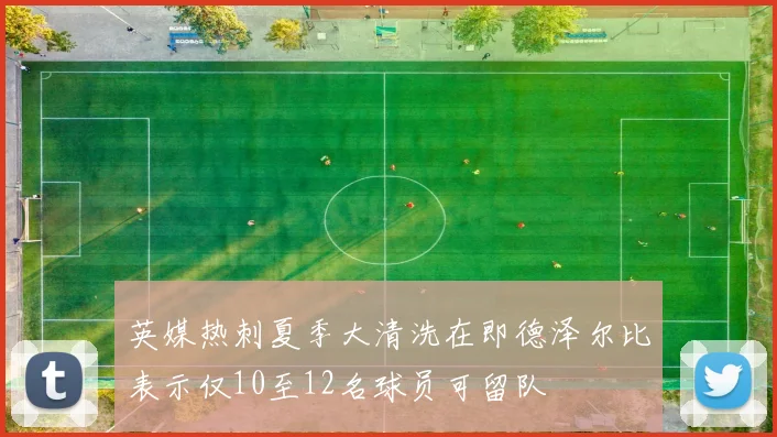 英媒热刺夏季大清洗在即德泽尔比表示仅10至12名球员可留队